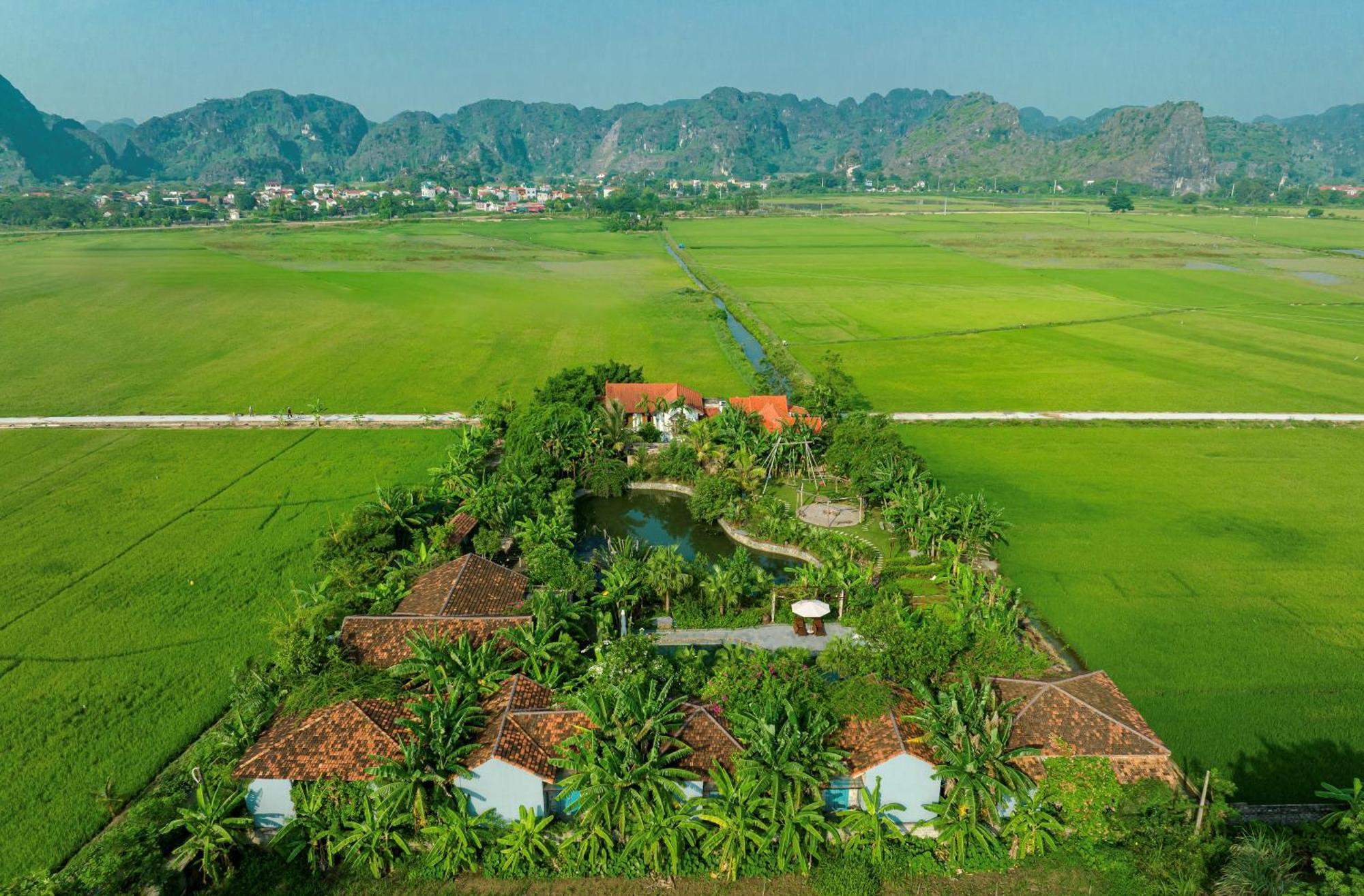 Chezcao Rice Field Ecolodge Ninh Binh Eksteriør billede