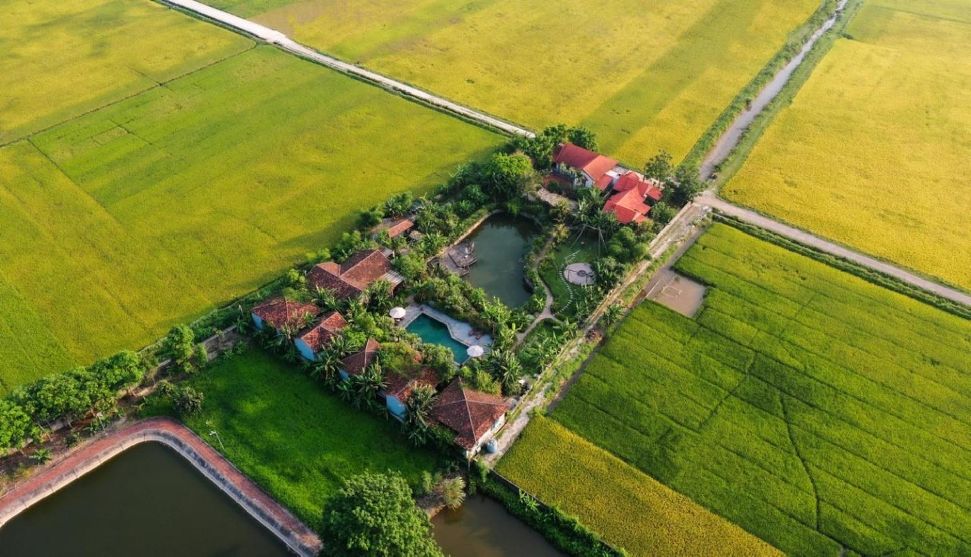 Chezcao Rice Field Ecolodge Ninh Binh Eksteriør billede